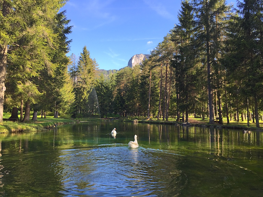 Informazioni Turistiche Forni di Sopra e Dolomiti Friulane