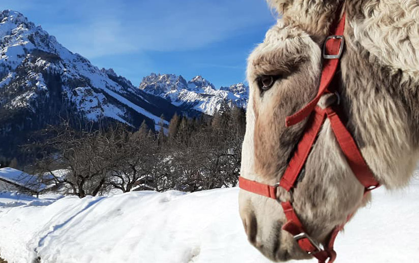 Carnevale a Forni di Sopra