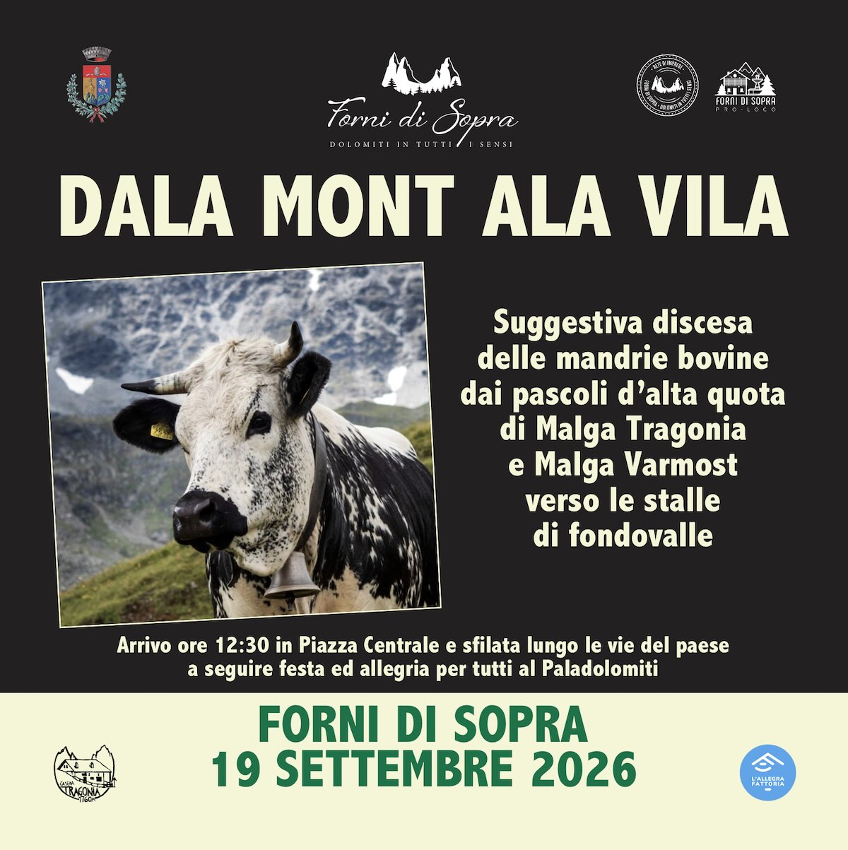 DALA MONT ALA VILA social
