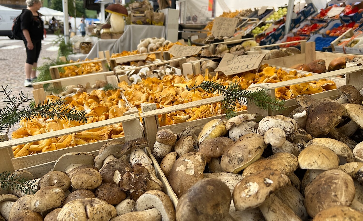 FESTA FUNGHI forni di sopra FESTA FUNGHI forni di sopra