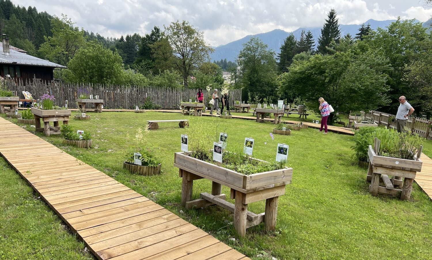 orto botanico didattico forni di sopra Orto botanico didattico forni di sopra