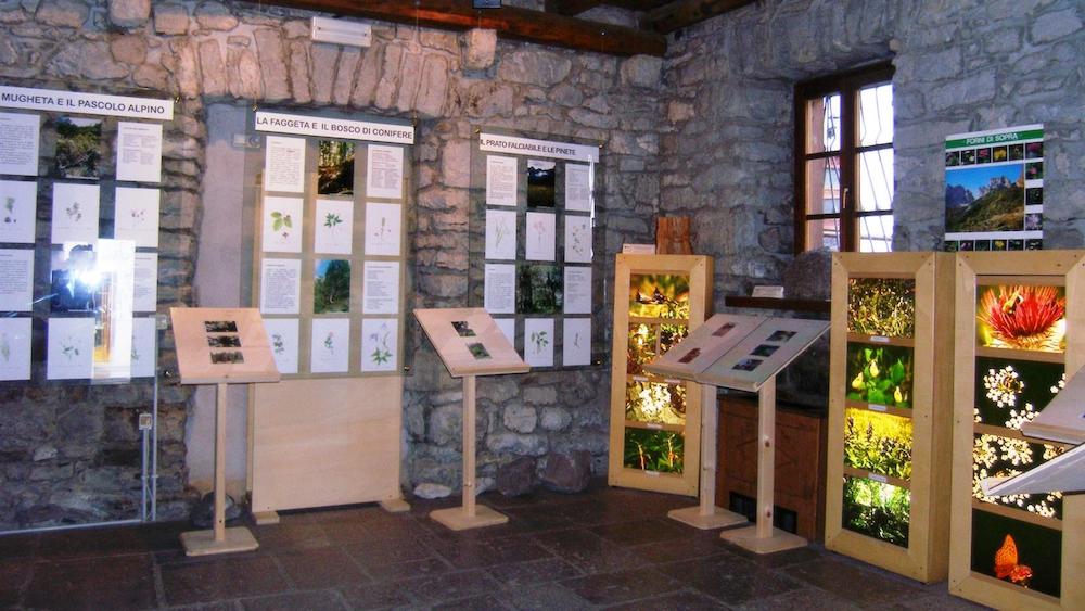 Parco dolomiti friulane centro visite forni di sopra Parco dolomiti friulane centro visite forni di sopra