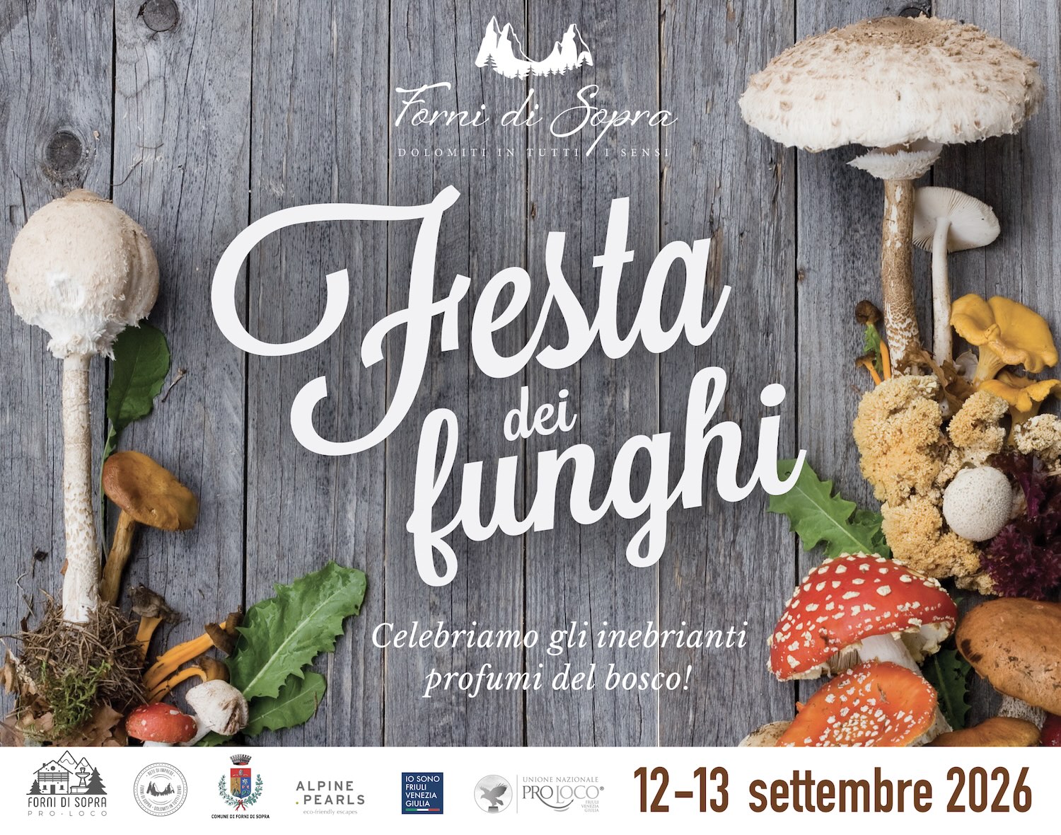 FESTA FUNGHI 2026 Forni di Sopra FESTA FUNGHI 2026 Forni di Sopra