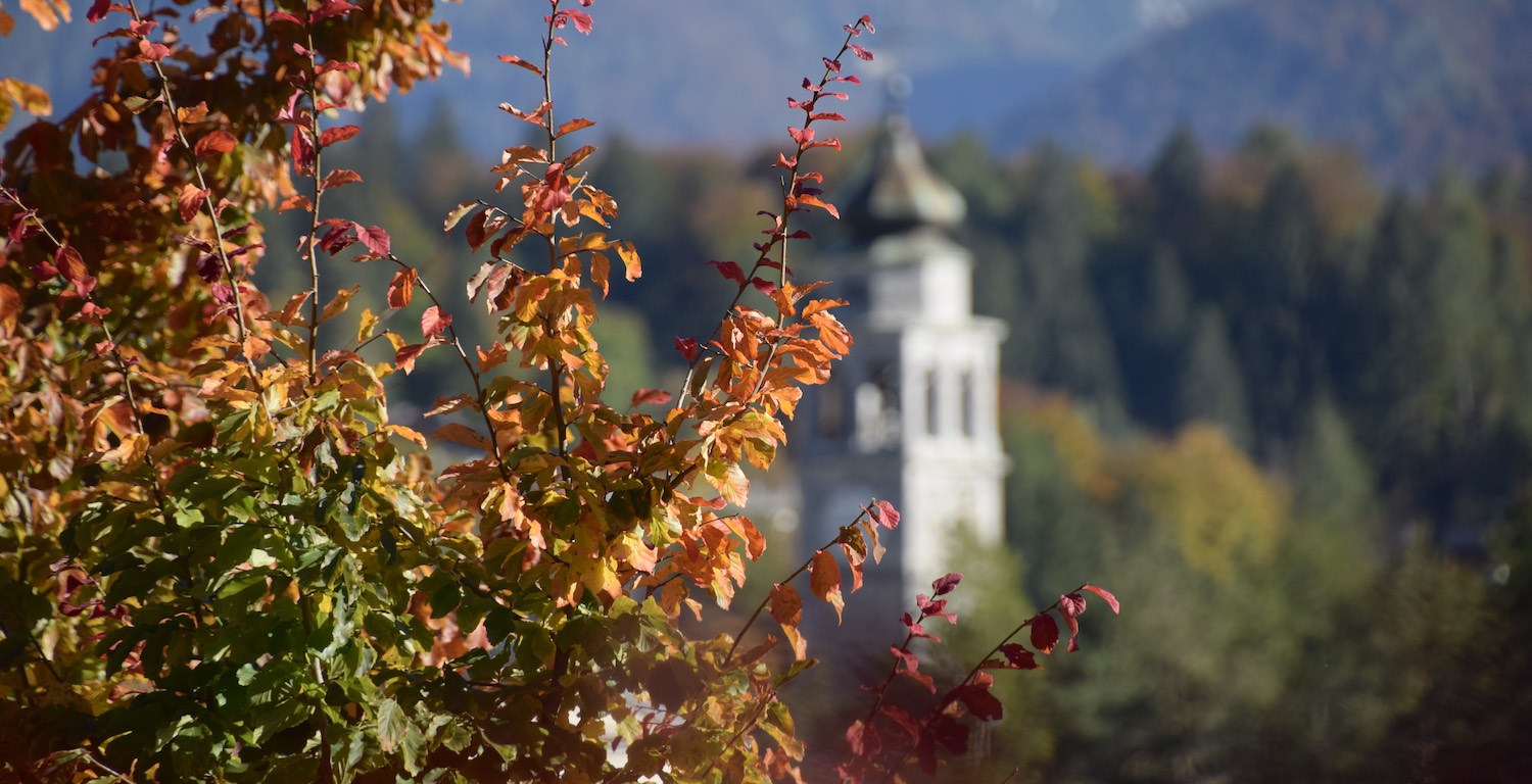 autunno forni di sopra campanile