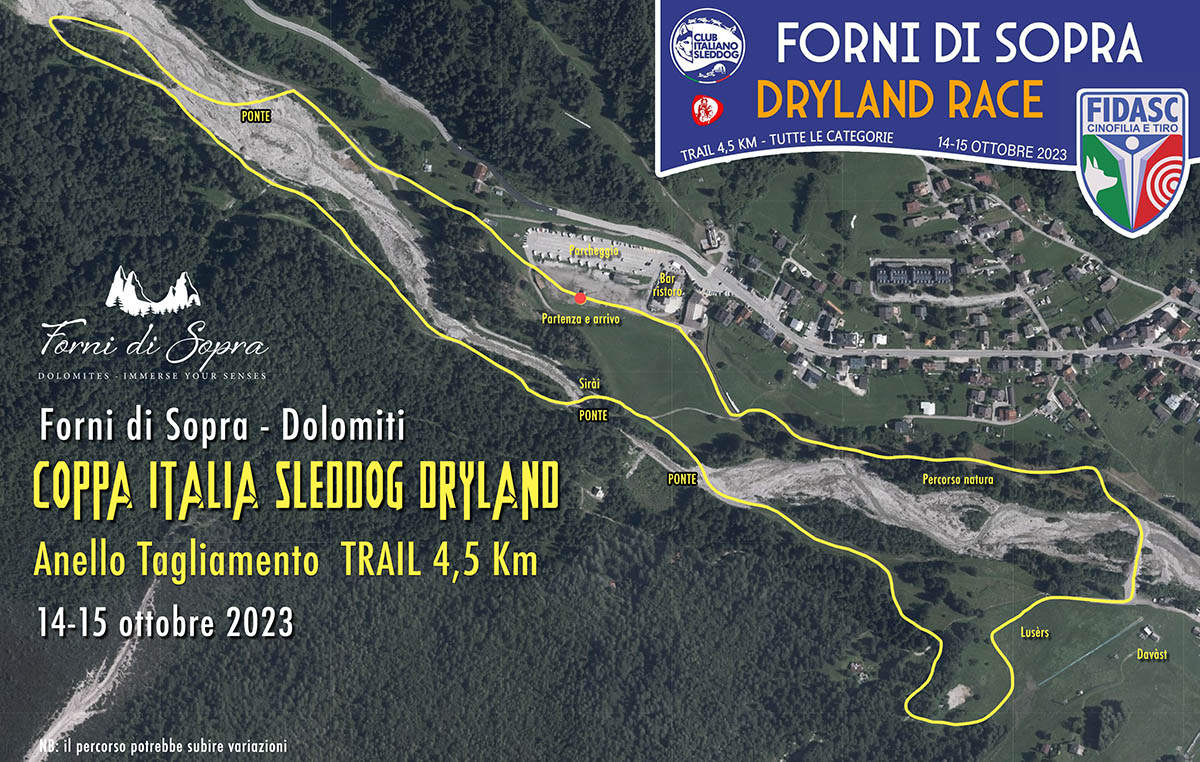 coppa italia sleddog forni di sopra coppa italia sleddog forni di sopra