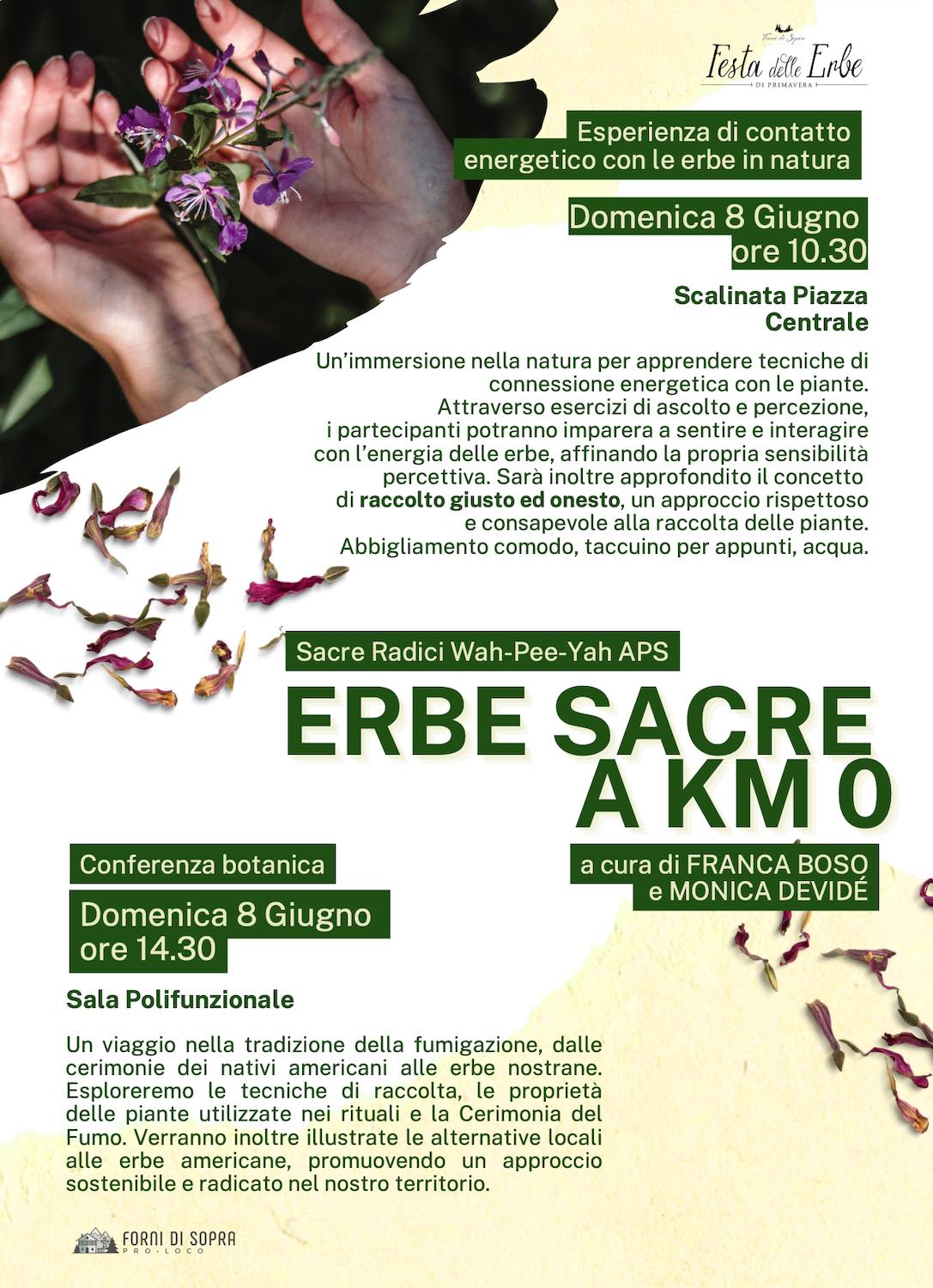 erbe sacre festa delle erbe