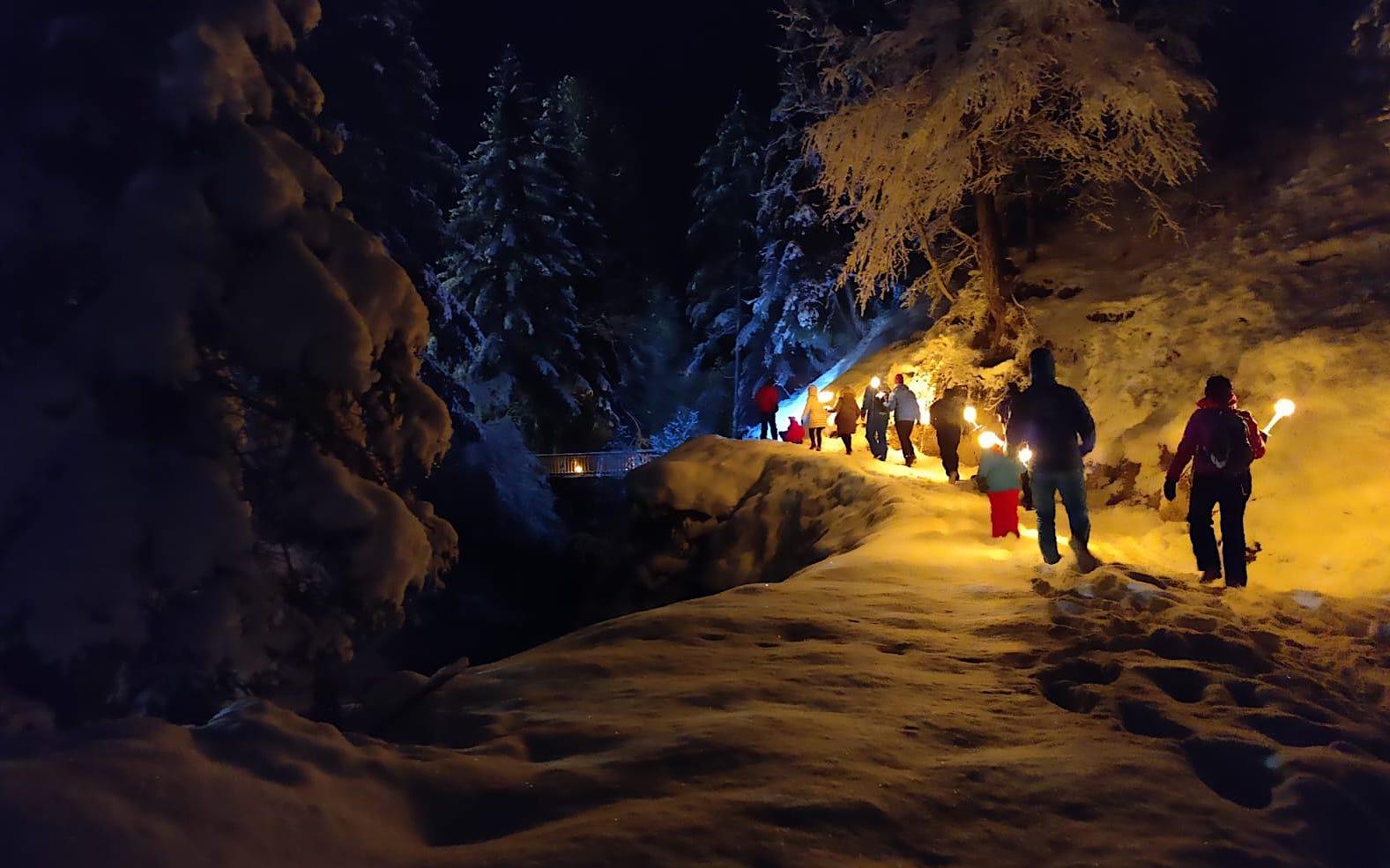 fiaccolate scuola sci forni di sopra fiaccolate scuola sci forni di sopra