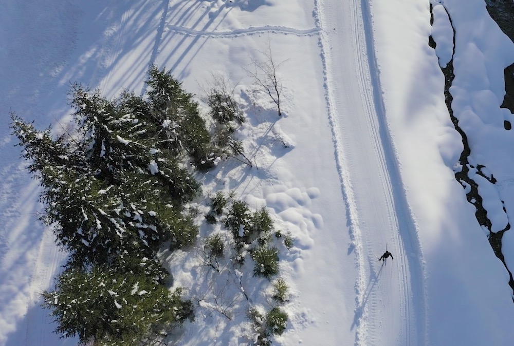 fondo forni di sopra dolomiti LK 2020 2