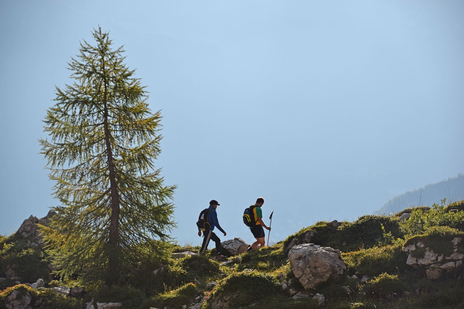 dolomiti-escursioni-fornidisopra-571