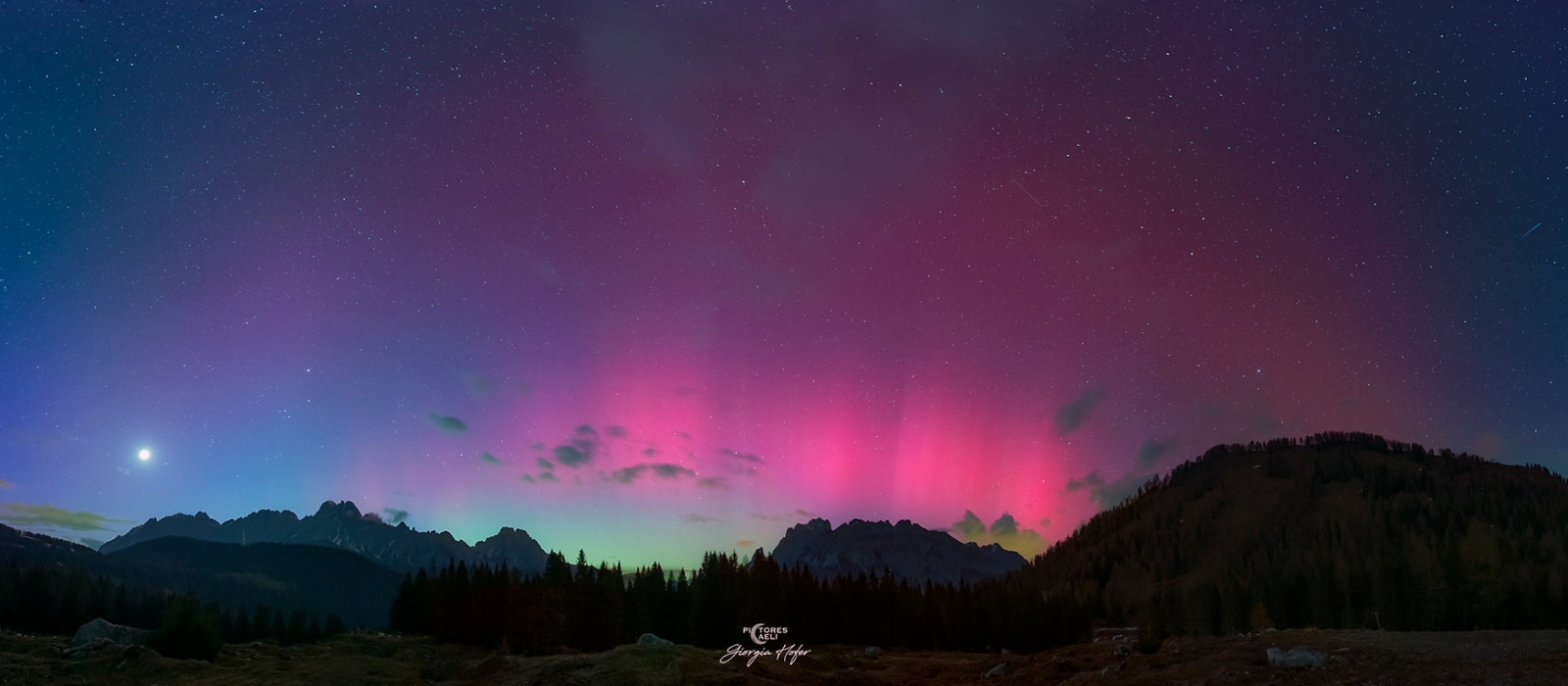 giorgia-hofer-aurora