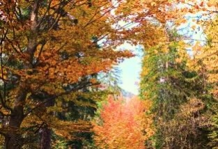 La-notte-celtica-2025