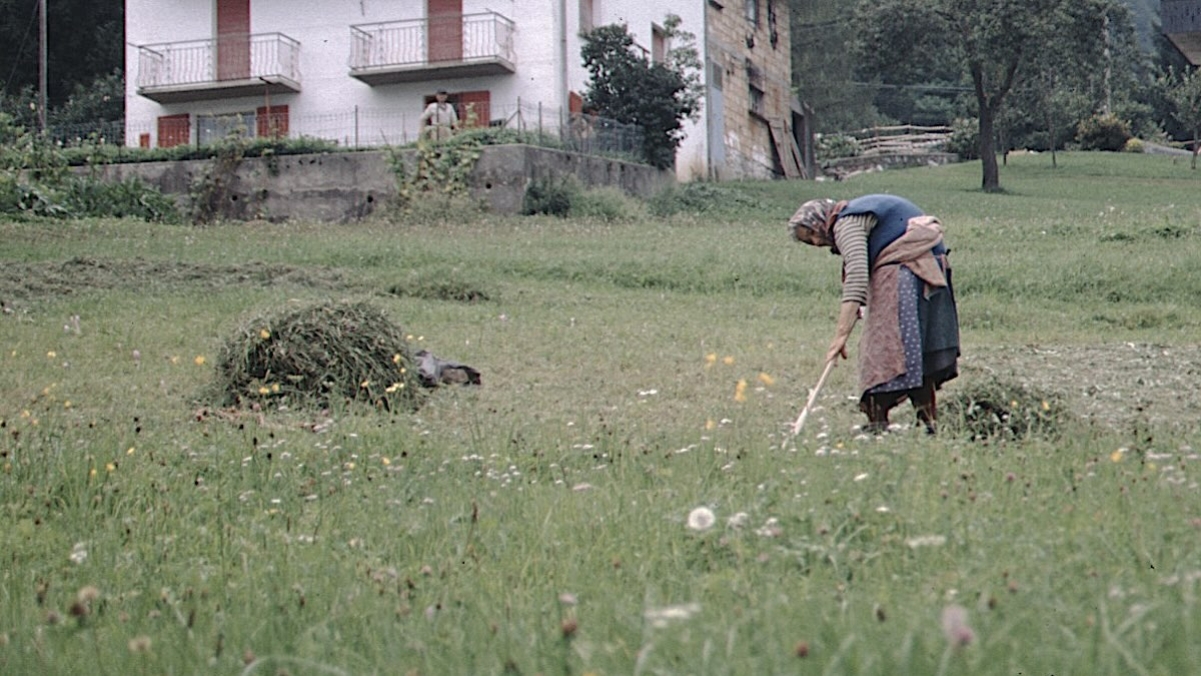 pepina-stalas-fienagione