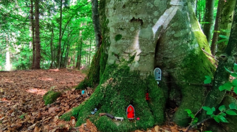 Villaggiodegli-Gnomi