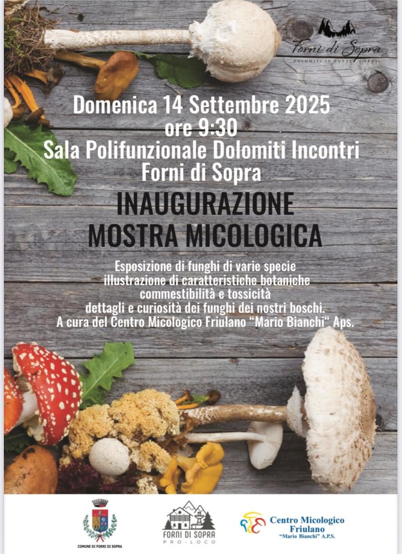 inaugurazione mostra micologica 2025