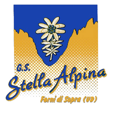 logo stella alpina black
