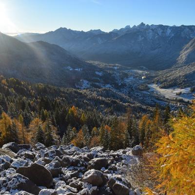 Forni Di Sopra Dolomiti Autumn 289