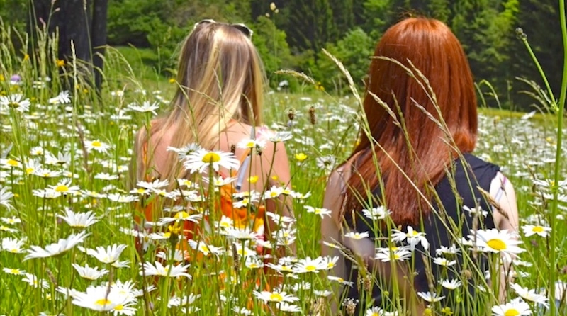 FESTA DELLE ERBE A FORNI DI SOPRA