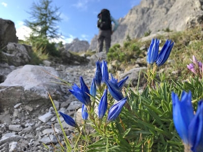TREKKING ANELLO ALTA VIA DI FORNI