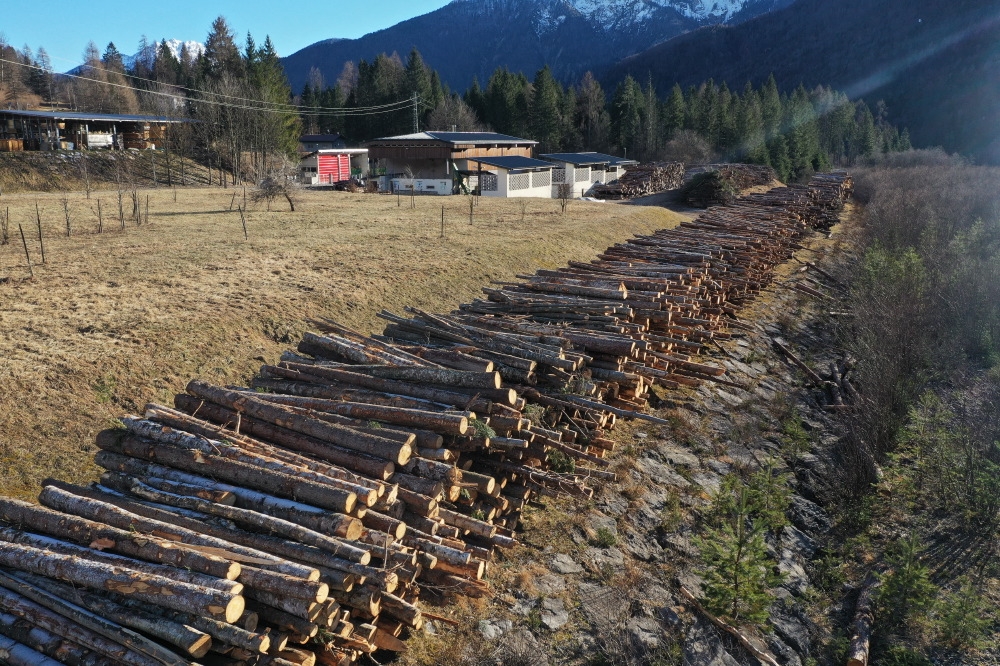 Da VAIA, l'energia pulita per Forni di Sopra