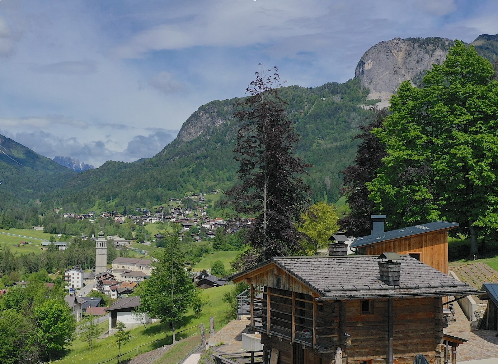 Servizi Turistici Estate 2025